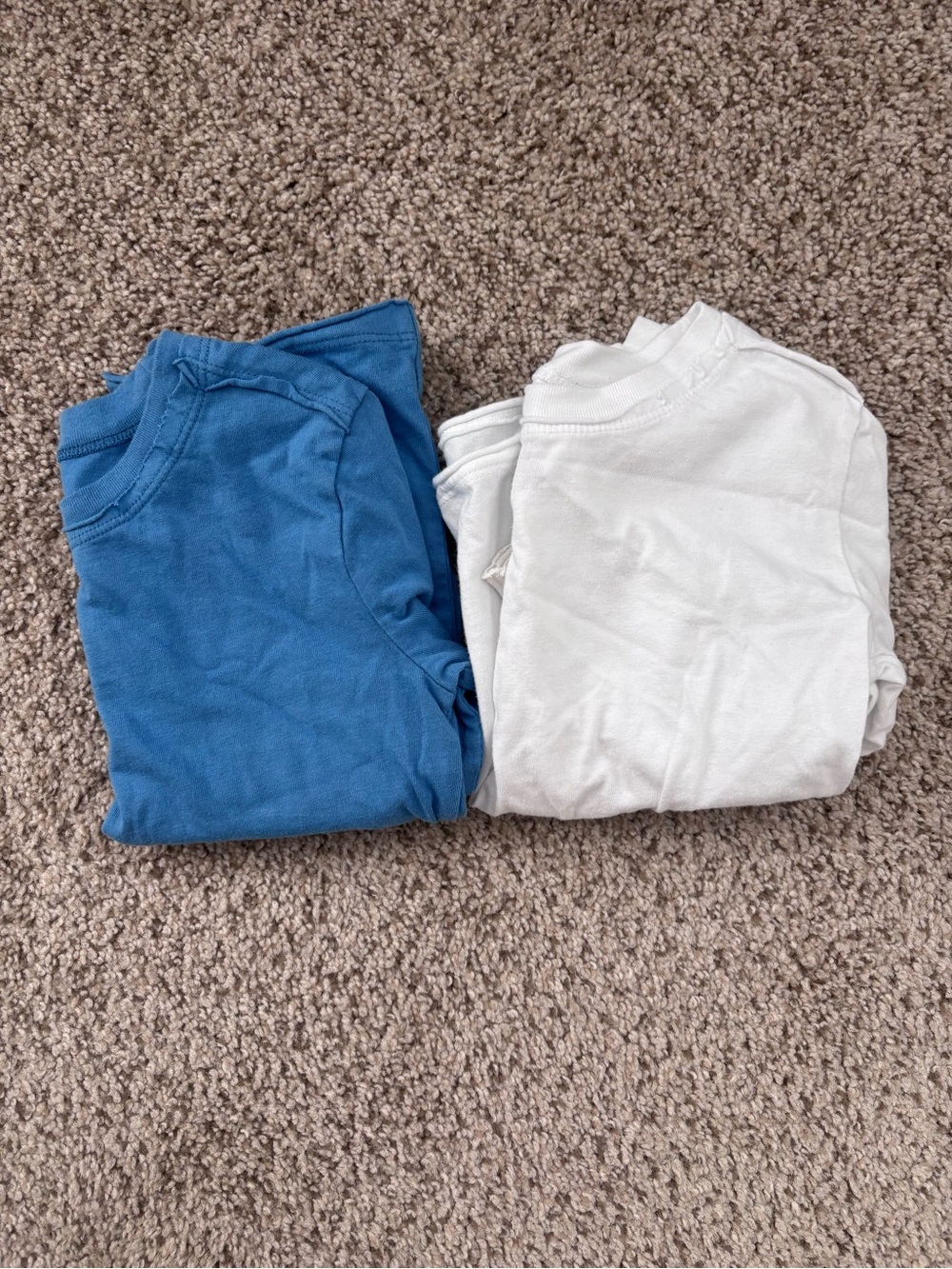 HONEST Toddler Crewneck Long sleeve - 3T